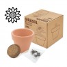 MACETA TERRACOTA SEMILLAS