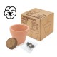 MACETA TERRACOTA SEMILLAS DE PENSAMIENTO