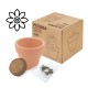 MACETA TERRACOTA SEMILLAS