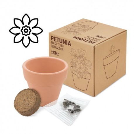 MACETA TERRACOTA SEMILLAS