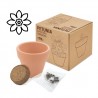 MACETA TERRACOTA SEMILLAS