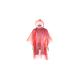 Poncho Remo
