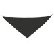 PANOLETA TRIANGULAR NE
