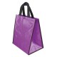 BOLSA BRILLO LI