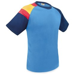 CAMISETA BANDERA DF AZ RY