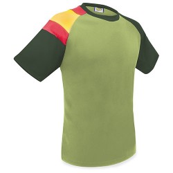 CAMISETA BANDERA D&F KA