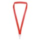 LANYARD CONFERENCE
