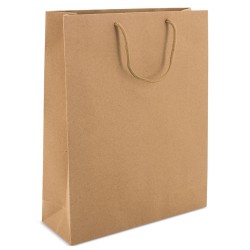 BOLSA DE CARTON ASA LOOPSE ALEXIA